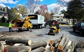 Best Tree Trimming and Pruning  in Hartley, IA